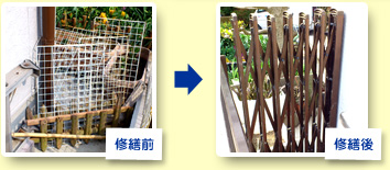 �A�R�[�f�B�I������C�U